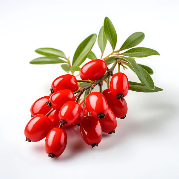 Berberine