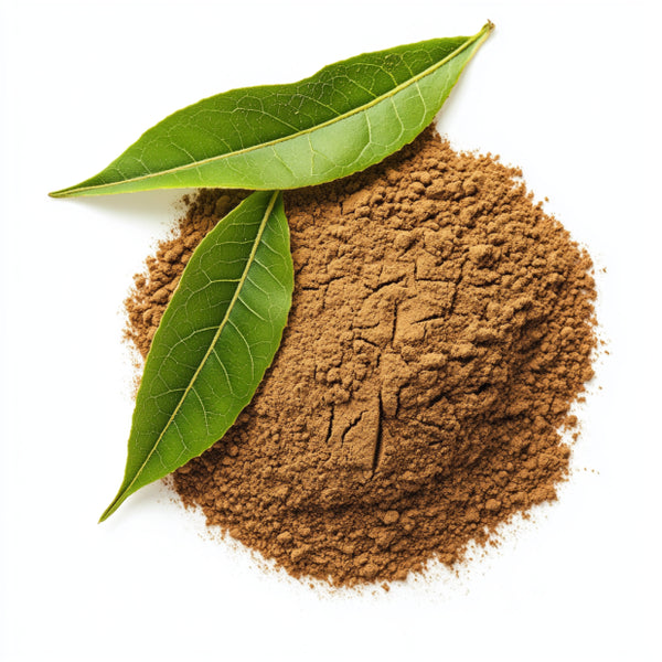 Yerba Mate Extract